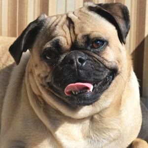 Meet your Posher, Melinda